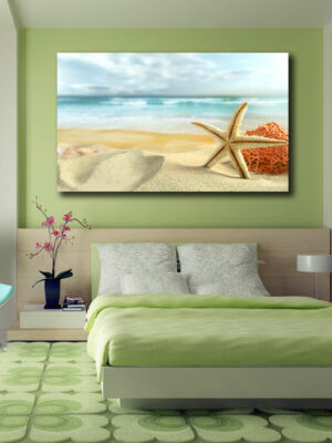 Quadro moderno natura "STELLA MARINA E CORALLO" - Stampa su tela