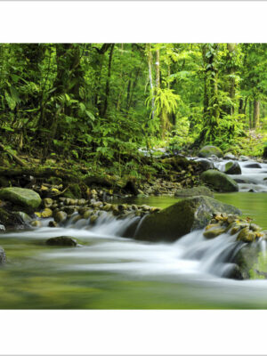 ruscello-di-montagna