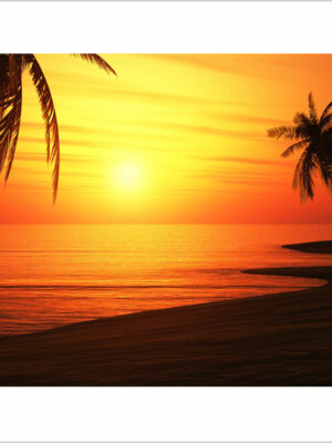 tramonto sulle palme