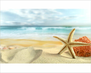 stella-marina-e-corallo