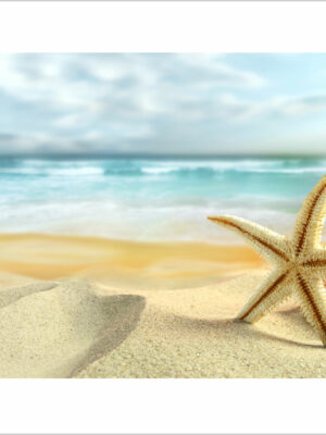 stella-marina-e-corallo