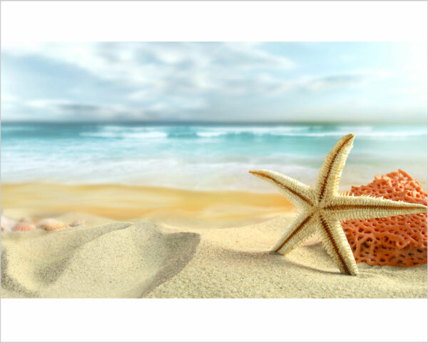 Quadro moderno natura "STELLA MARINA E CORALLO" - Stampa su tela