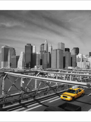 taxi nella metropoli