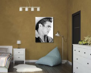 Stampa su tela -james il gigante