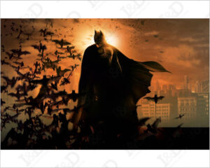 Batman uomo pipistrello-stampa su tela