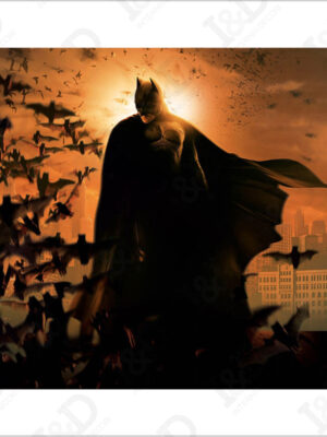 Batman uomo pipistrello-stampa su tela
