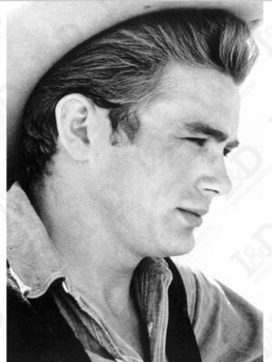 James il gigante – stampa su tela