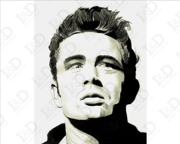 Quadro moderno cinema "JAMES DEAN" - Stampa su tela