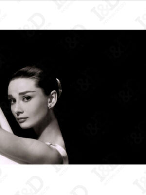 Classic Audrey-stampa su tela
