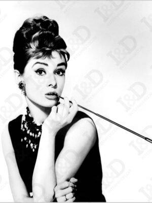 Stampa su tela-Colazione da Tiffany