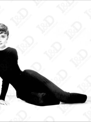 Stampa su tela-icona di stile