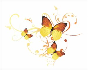 farfalle tra decori 2