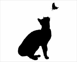 gatto con farfalla