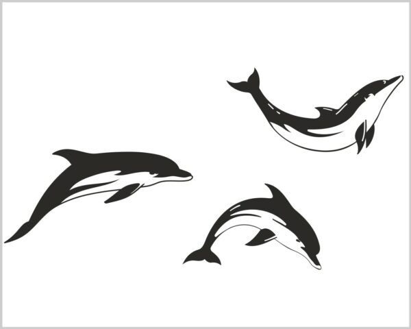 Adesivo da parete animali "SALTO DI DELFINI"