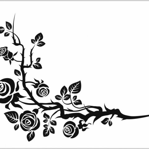 rovo di rose con le spine