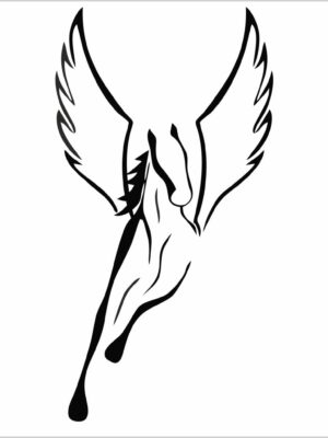 Pegaso cavallo alato-adesivo murale