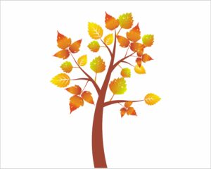 albero d’autunno