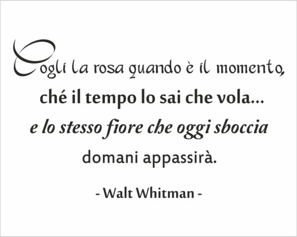 Adesivo da parete frase Walt Whitman "CARPE DIEM"