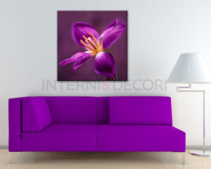 Quadro moderno fiori "MERAVIGLIOSO TULIPANO" - Stampa su tela