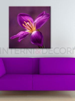 Quadro moderno fiori "MERAVIGLIOSO TULIPANO" - Stampa su tela