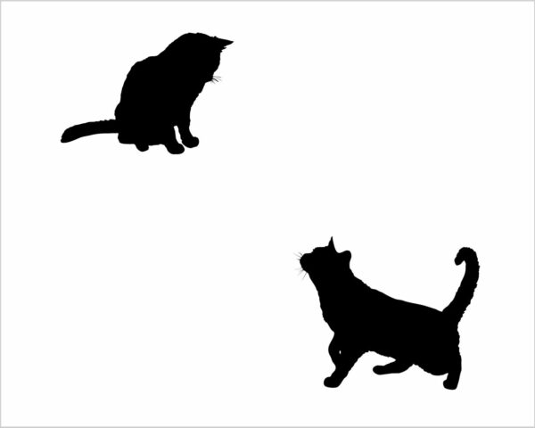 Adesivo da parete gatti "CUCCIOLI GIOCHERELLONI"