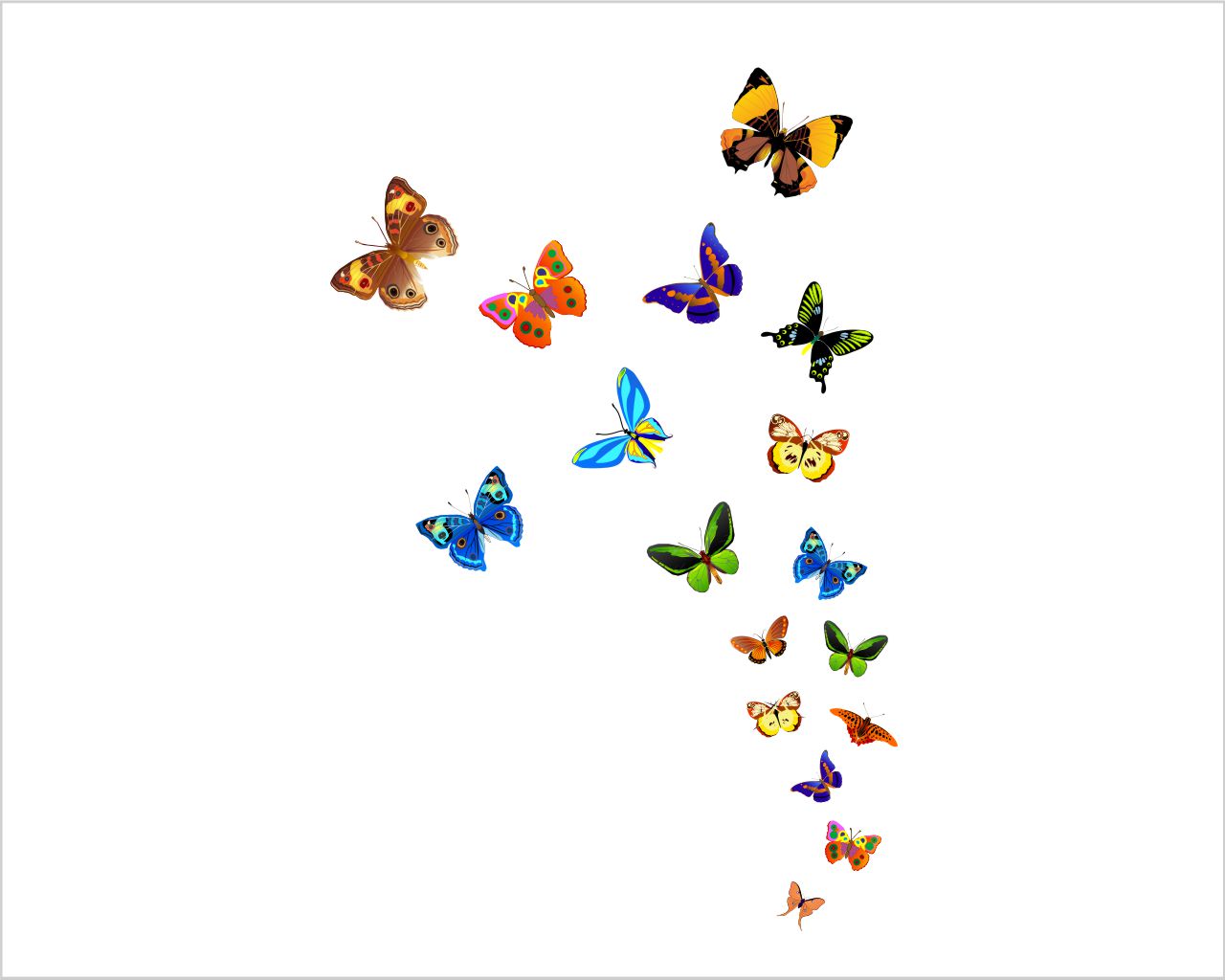 Adesivo da parete "FARFALLE VARIOPINTE"