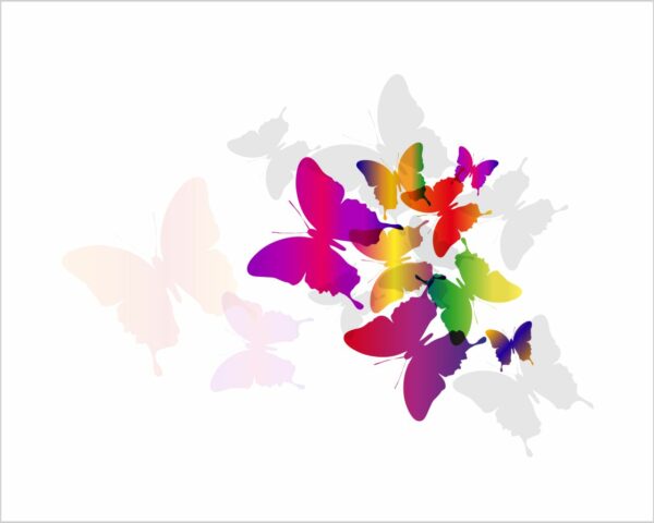 Adesivo da parete "ARCOBALENO DI FARFALLE"