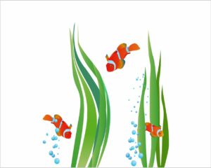 pesci pagliaccio-adesivo murale