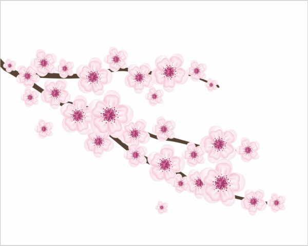 Adesivo da parete primavera "FIORI DI PESCO"