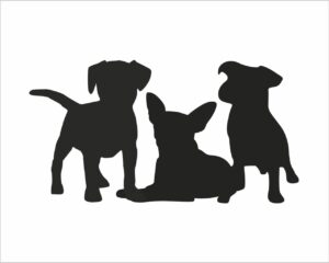 Amici a quattro zampe