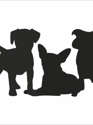 Amici a quattro zampe