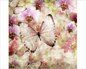 farfalle tra orchidee