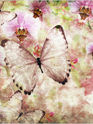 farfalle tra orchidee