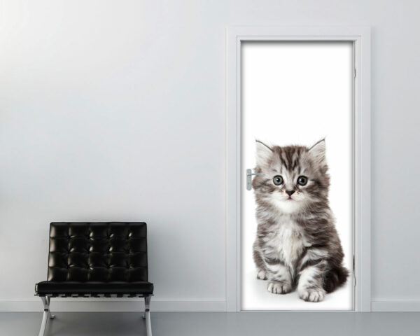 Decoro porta gatto "UN GRAZIOSO GATTINO"