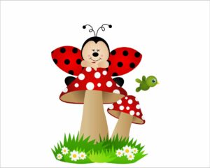 Coccinella su un fungo