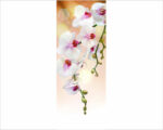Decoro porta fiori "ORCHIDEA BIANCA"