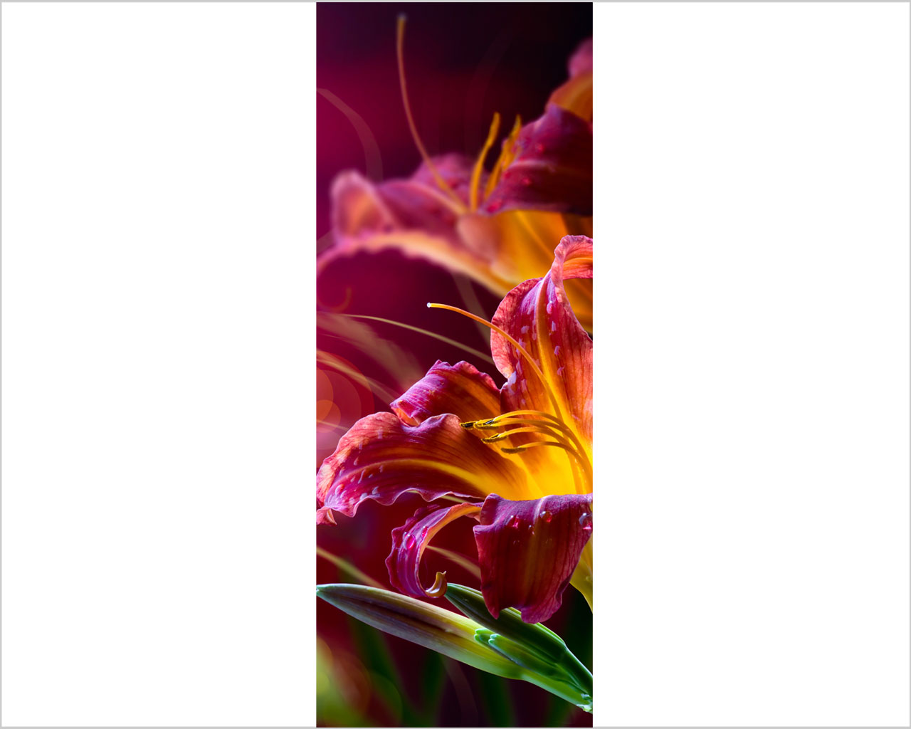 Decoro porta fiori "DELICATI LILIUM"