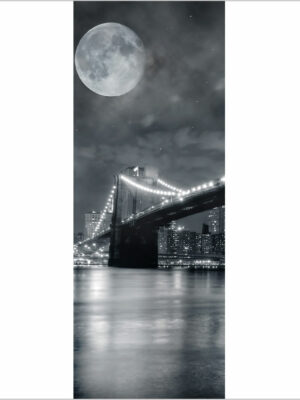 Luna piena a New York