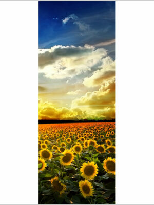 Girasoli nel campo