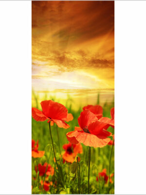 Tramonto sui papaveri