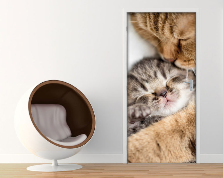 Decoro porta animali "DOLCE MAMMA GATTA"