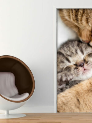 Decoro porta animali "DOLCE MAMMA GATTA"