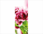 Decoro porta fiori "UN MERAVIGLIOSO GAROFANO"