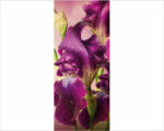 Decoro porta fiori "GOCCE DI RUGIADA SUGLI IRIS"