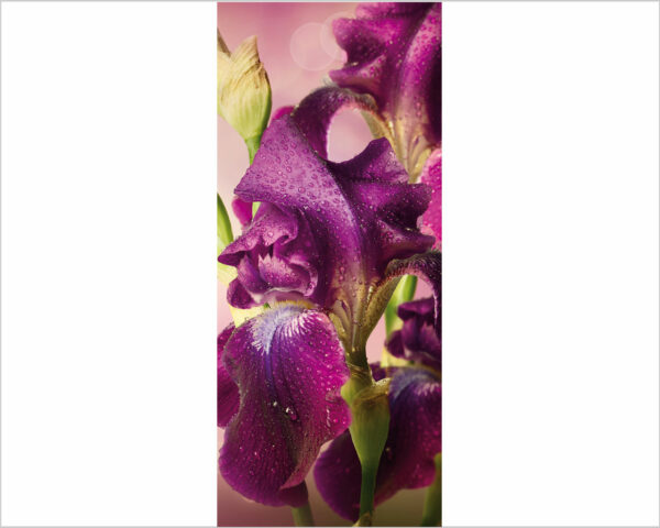 Decoro porta fiori "GOCCE DI RUGIADA SUGLI IRIS"