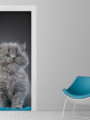 Decoro porta gatto "TENERO MICIO"