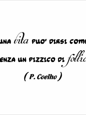 Nessuna vita è completa