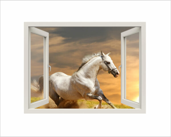Adesivo murale finestra animali "CAVALLO SELVAGGIO" - Finestra illusione