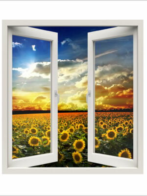 Affacciarsi sui girasoli