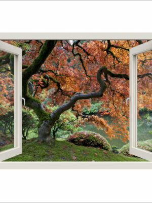 Guardando la magnolia